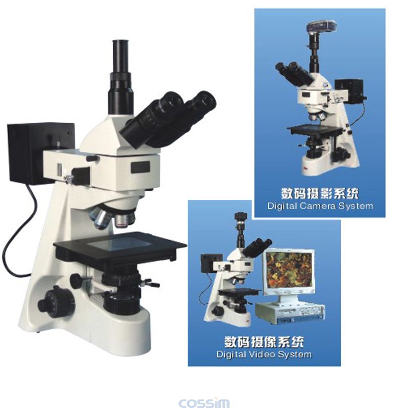 53XB三目正置金相顯微鏡