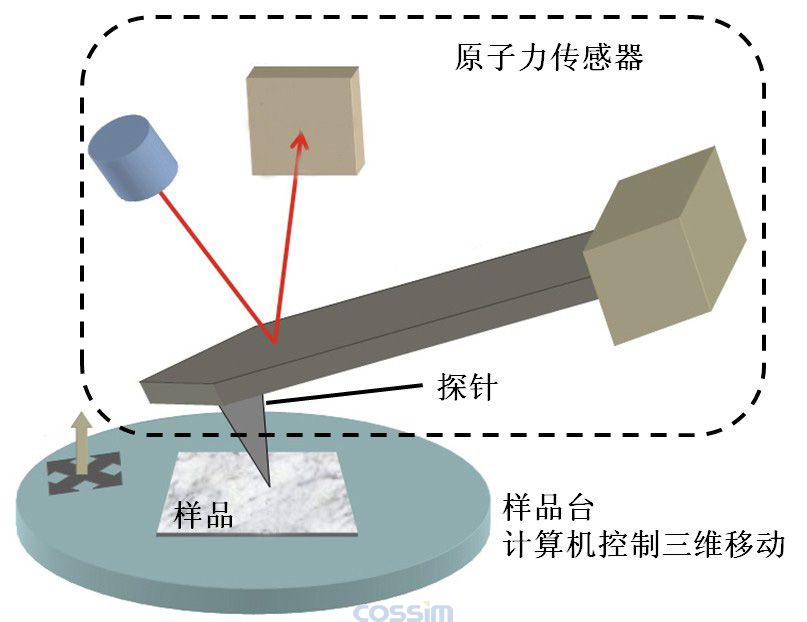 原子力顯微鏡的原理示意圖