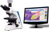 BK系列臨床、實(shí)驗(yàn)室生物顯微鏡